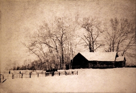 Winter Warmth